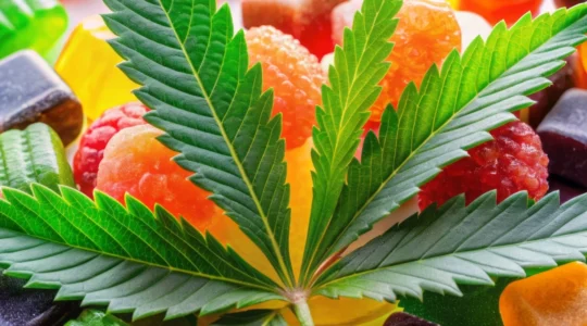 pourquoi-les-bonbons-au-thc-gagnent-ils-en-popularite-aupres-des-consommateurs-de-cannabis